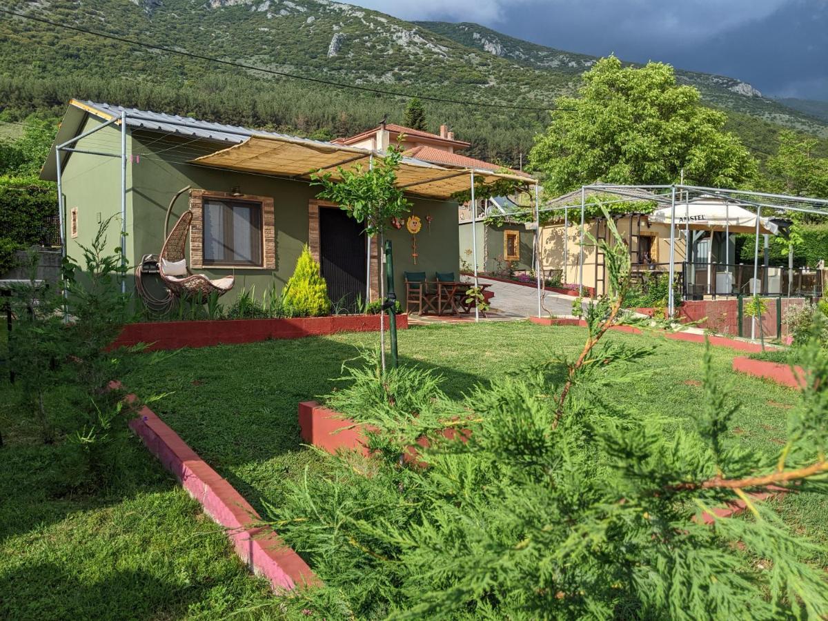 Valena'S House Lejlighed Ioannina Eksteriør billede